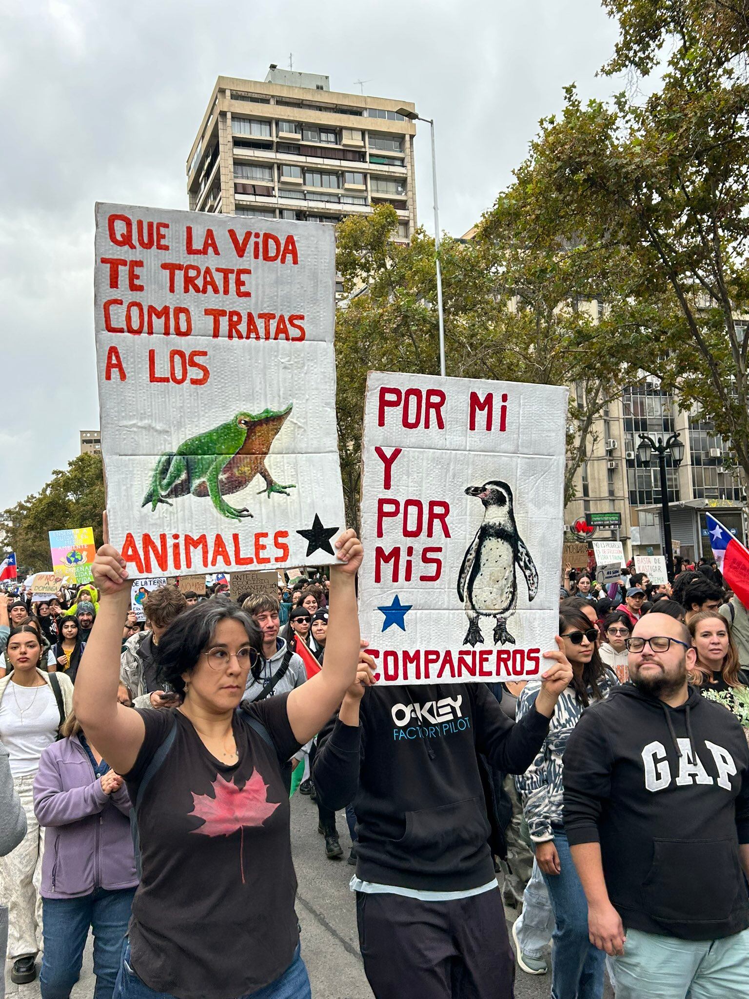 Foto de @ManuBarriaa