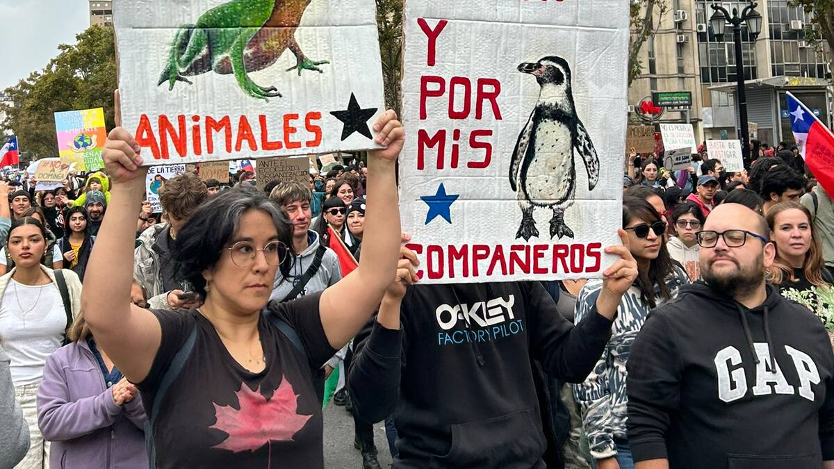 Marchas a lo largo de Chile por defensa ambiental: manifestantes protestan contra retiro de 43 decretos por parte del gobierno del Presidente Kast