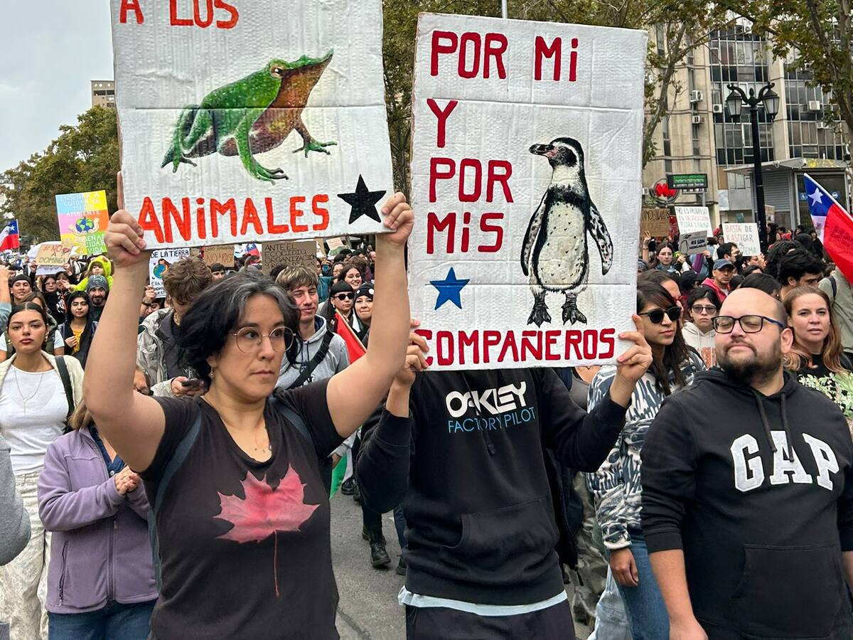 Marchas a lo largo de Chile por defensa ambiental: manifestantes protestan contra retiro de 43 decretos por parte del gobierno del Presidente Kast