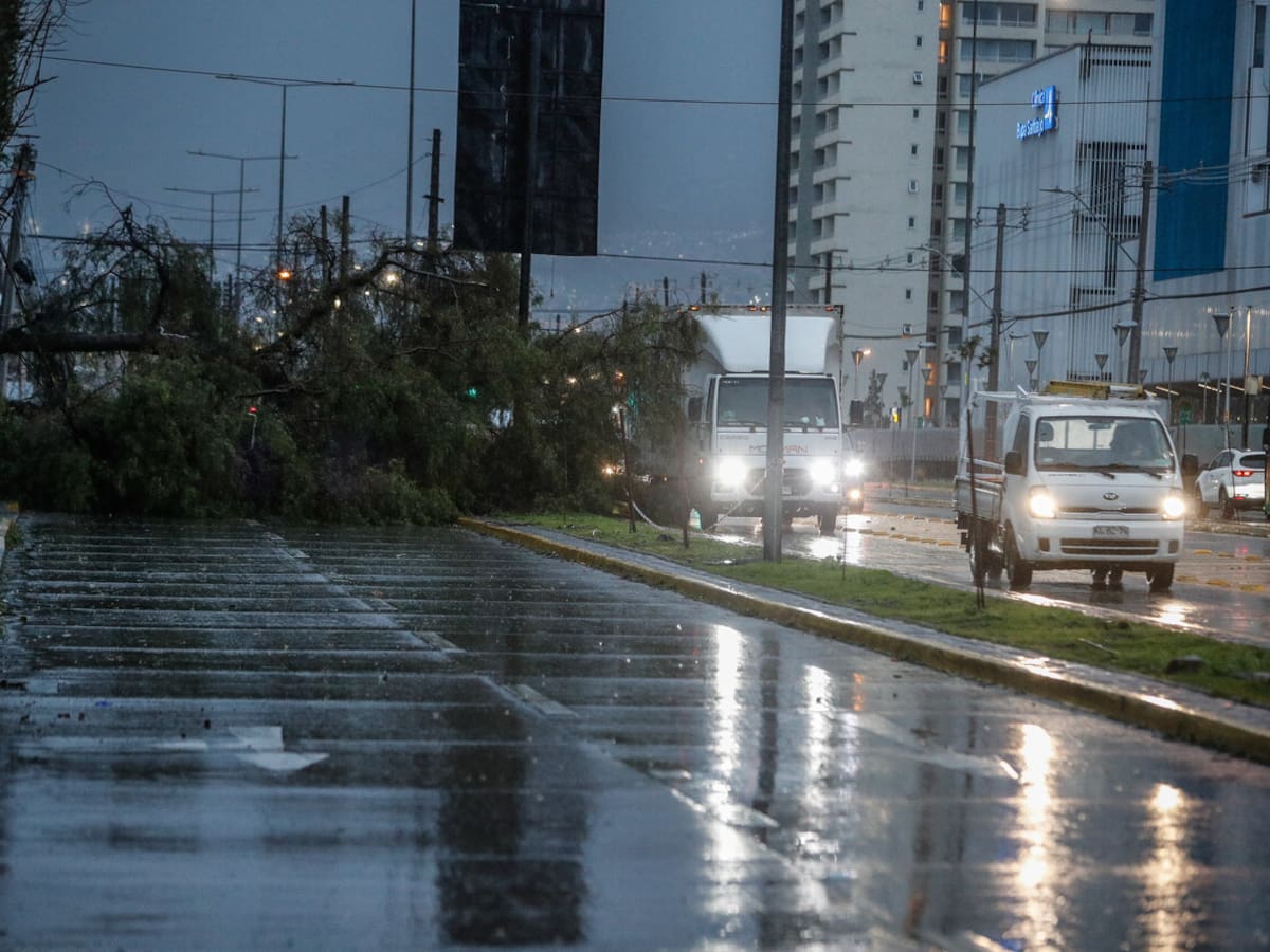 Directora del SENAPRED e intensas ráfagas de viento: “Esta situación en la región Metropolitana no estaba prevista”