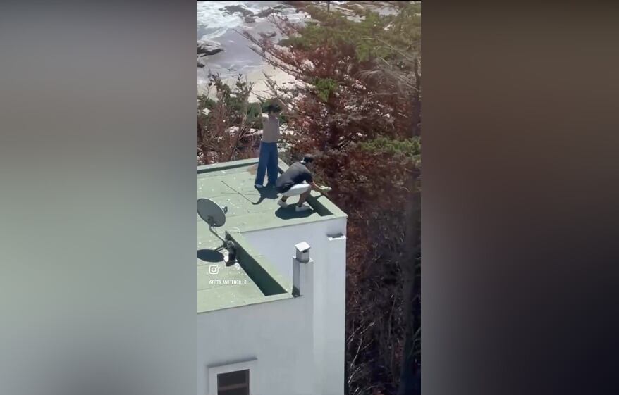 Pareja lanzando polluelos desde techo de condominio en Maitencillo