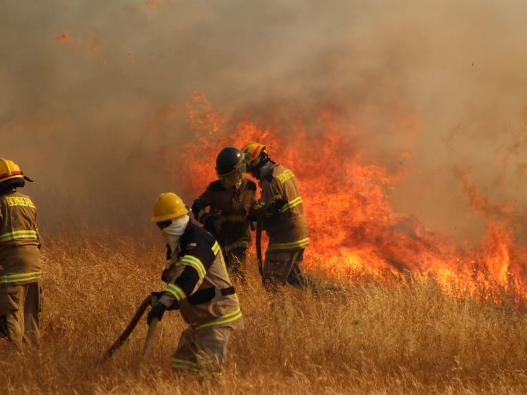 24 de Diciembre 2021/ CHILLAN.
Incendio se mantiene descontrolado y ha afectado a los sectores Chancal, Danquilco, Santa Ana del Baúl, San José del Baúl, El Olivar, Quebrada de Buyuquil, Coyanco, El Sauzal. En esta zona, el incendio retrocedió por el fundo La Bodega y Santa Ana del Baúl, en la comuna de Quillón, Región de Ñuble
- Más de 1.100 hectáreas de terreno boscoso y pastizales consumidos.
- 150 efectivos de bomberos y Conaf de toda la región, de encuentran trabajando.
- Cuatro helicópteros de Conaf, dos de Arauco y tres avionetas de Conaf apoyando la labor de extinción.
FOTO: JOSÉ CAMPOS / AGENCIAUNO