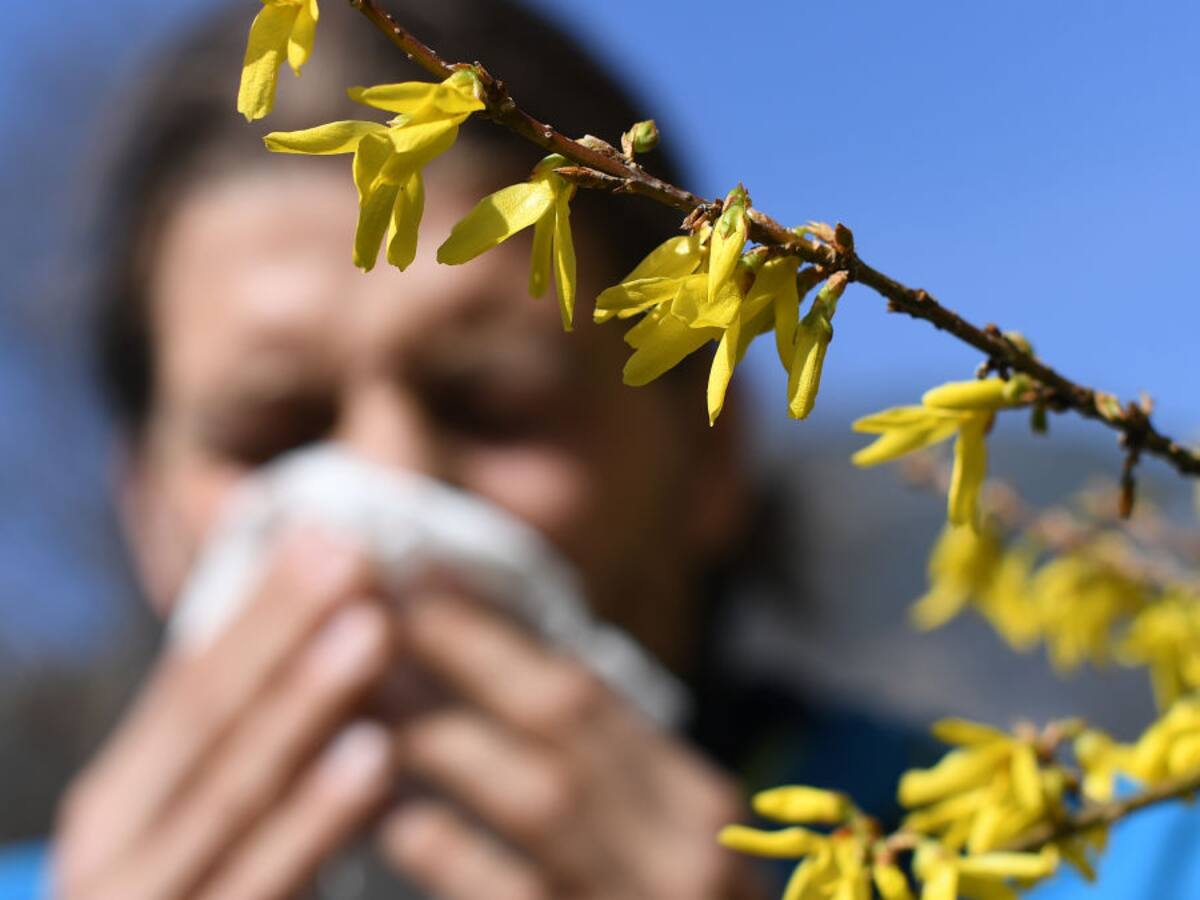 Inmunóloga por coronavirus COVID-19: «Los riníticos alérgicos no tienen más riesgo que la población en general»