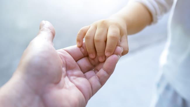 Fundación realiza colecta virtual para ayudar a la adopción en Chile