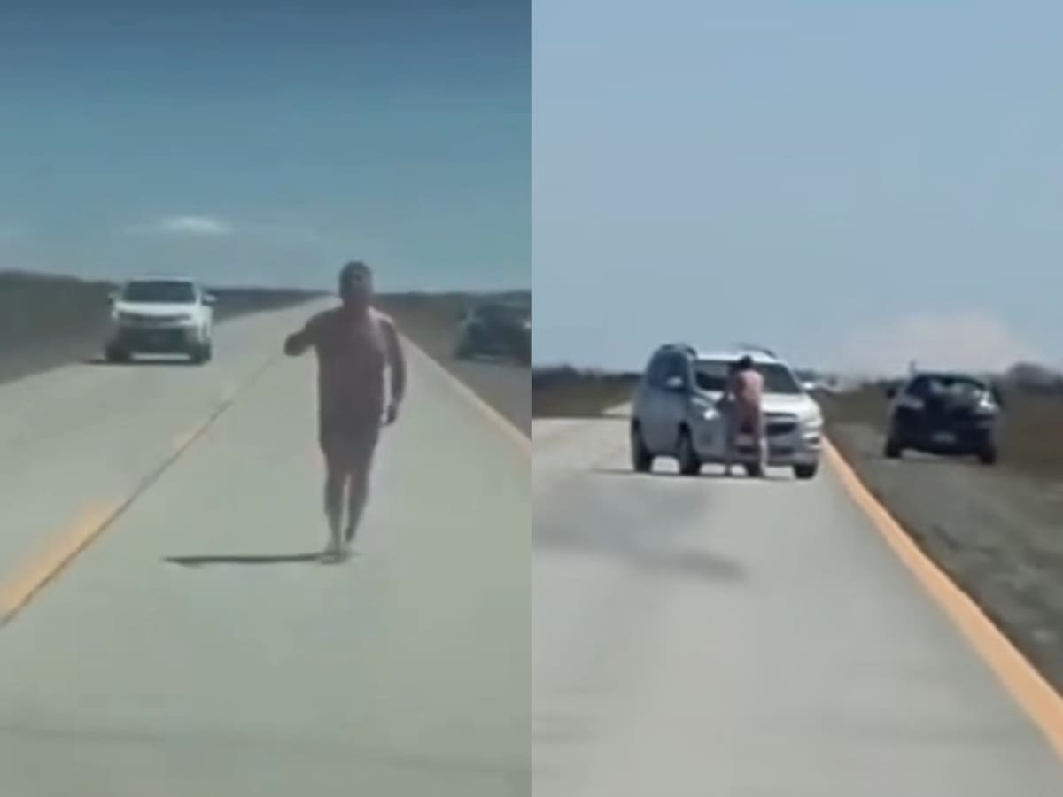 Desnudo y borracho: captan a hombre atacando vehículos en carretera de Magallanes