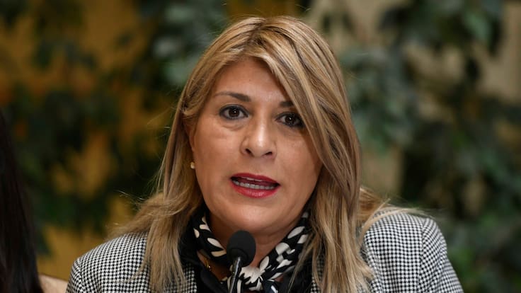 “No podemos seguir cometiendo errores”: diputada Parisi cuestiona a Presidente Kast por dichos sobre las Islas Malvinas