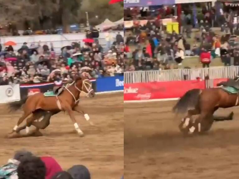 Carabinero del Cuadro Verde sufre accidente al caer de su caballo en presentación en el Parque Padre Hurtado