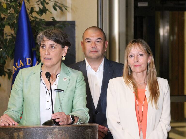 “Hay la mejor disponibilidad”: Comisión de Salud de la Cámara de Diputados inicia discusión de la Ley Corta de isapres