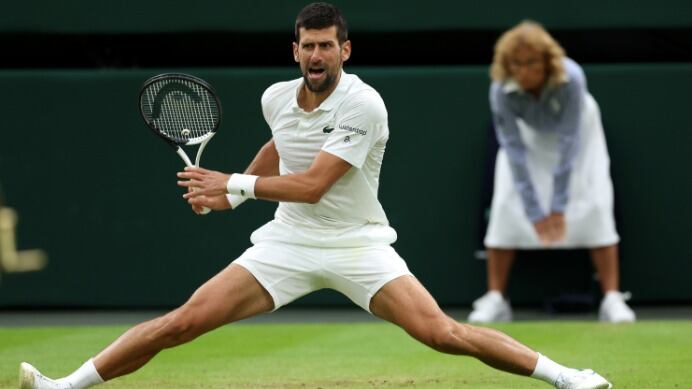 Djokovic wimbledon