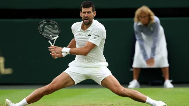 Djokovic wimbledon