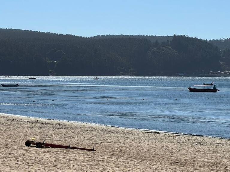 «No es normal que esté tan cerca de la costa»: pescadores graban un tiburón en la playa Dichato