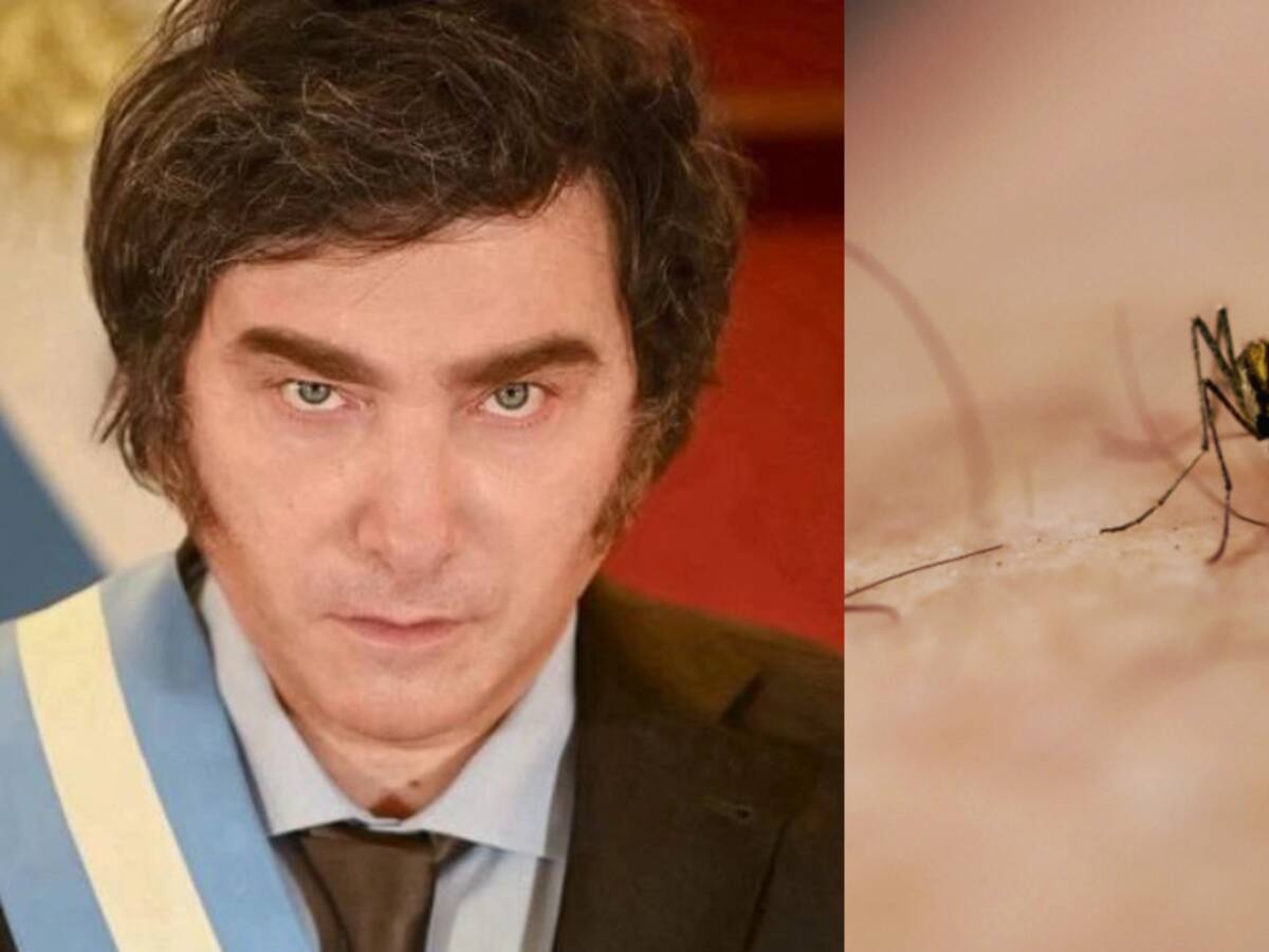 Presidente Milei descarta hacer obligatoria la vacuna contra el dengue pese a explosión histórica de casos en Argentina