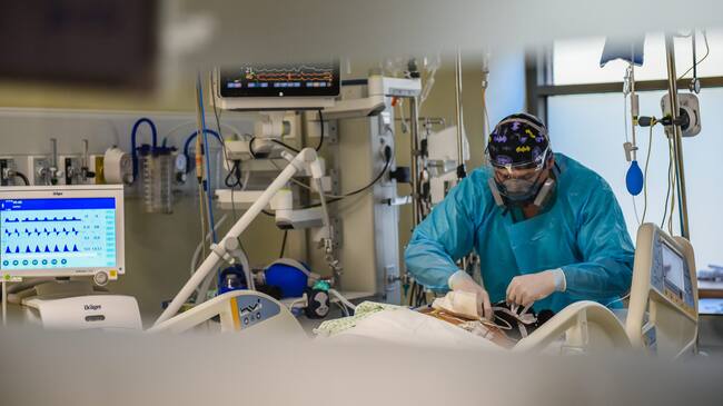 13 DE ABRIL 2021 / PADRE LAS CASASPersonal médico realiza procedimiento a pacientes COVID-19 conectados a ventilador mecánico en los pasillos de UTI en el Complejo Asistencial de Padre Las Casas, que ya cumple un año de funcionamiento, tras su apresurada apertura por la emergencia sanitaria que provocó la pandemia del coronavirus.
FOTO: ROCIO CUMINAO ROJAS / AGENCIAUNO