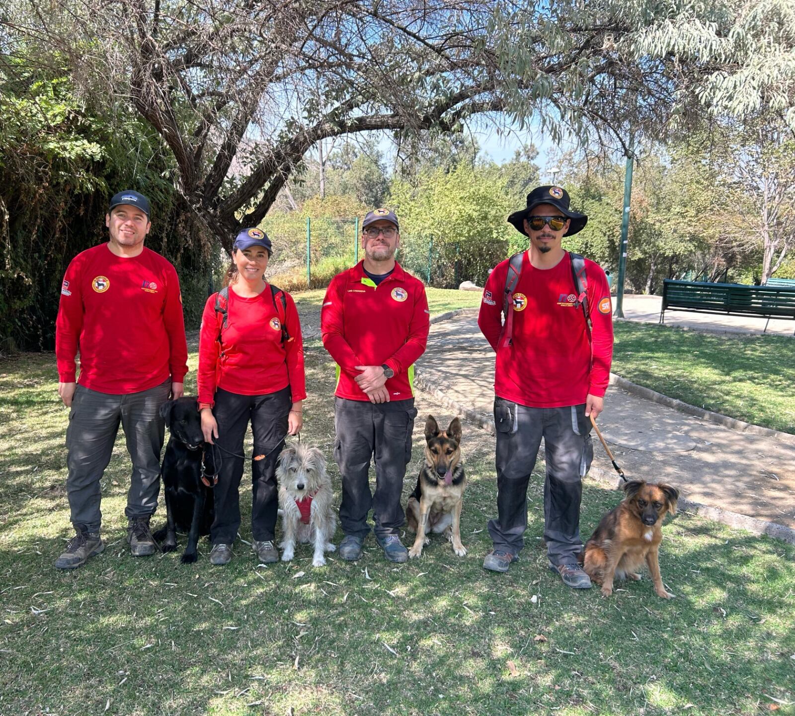 Perros de rescate de KSAR Chile optimizarán la búsqueda de personas desaparecidas
