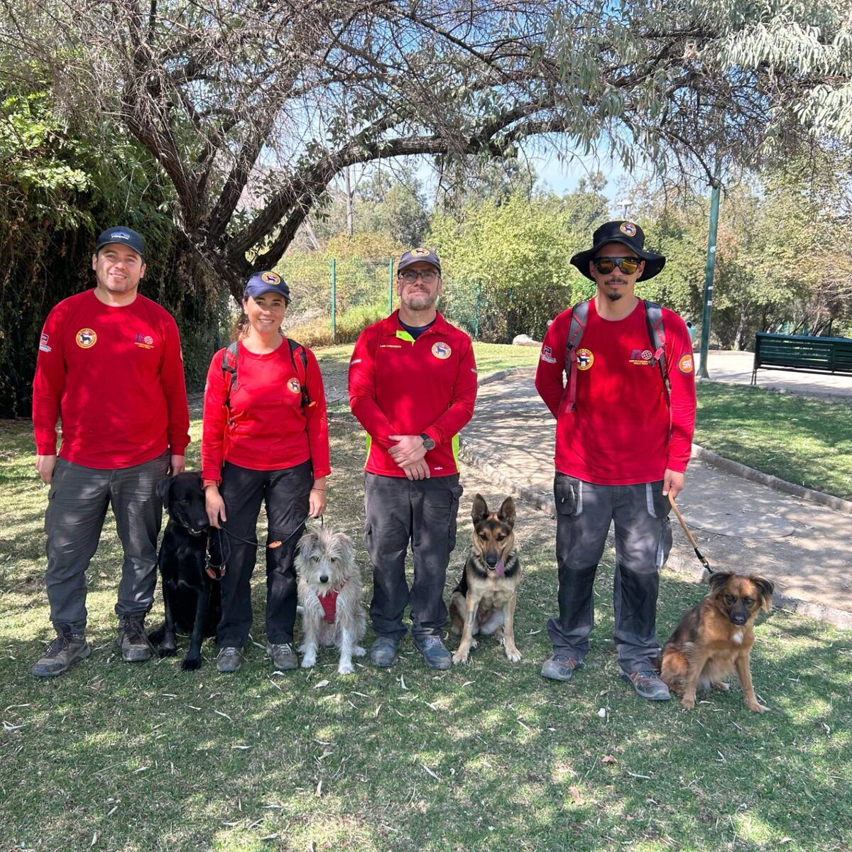 Con GPS de hasta 14 kilómetros de alcance: perros de rescate de KSAR Chile optimizarán la búsqueda de personas desaparecidas