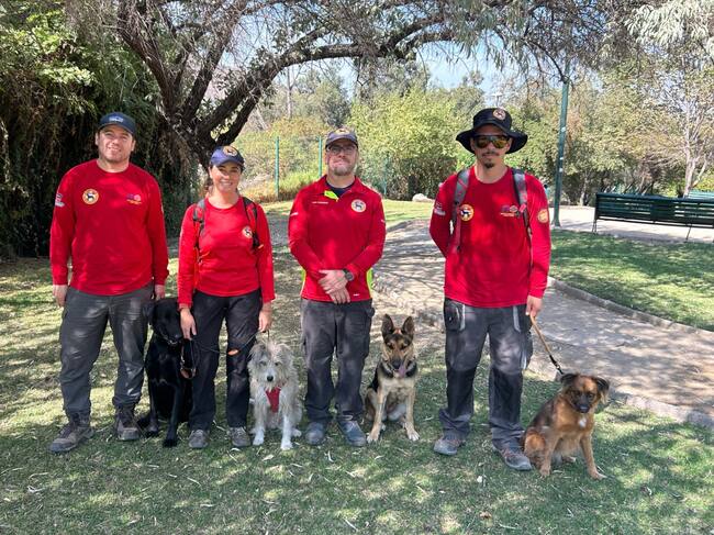 Perros de rescate de KSAR Chile optimizarán la búsqueda de personas desaparecidas