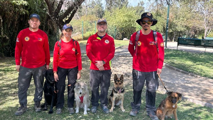 Con GPS de hasta 14 kilómetros de alcance: perros de rescate de KSAR Chile optimizarán la búsqueda de personas desaparecidas