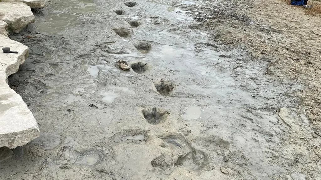 Huellas de Dinosaurios - Estados Unidos - Texas