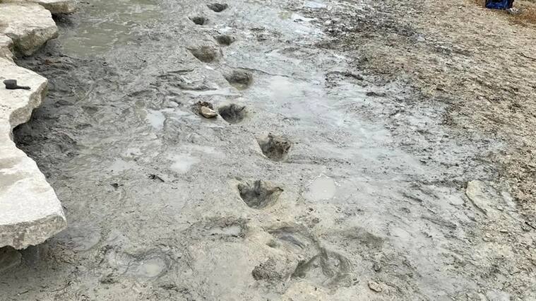 Huellas de Dinosaurios - Estados Unidos - Texas