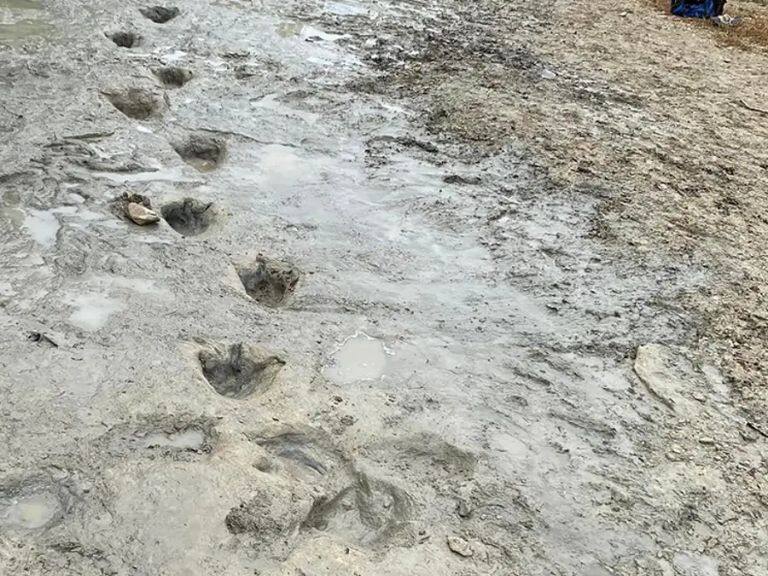 Huellas de Dinosaurios - Estados Unidos - Texas