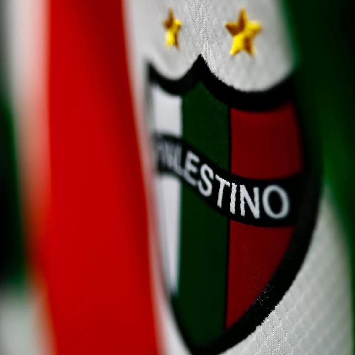 “Dejó una huella imborrable”: Palestino confirma la muerte de histórico jugador del club