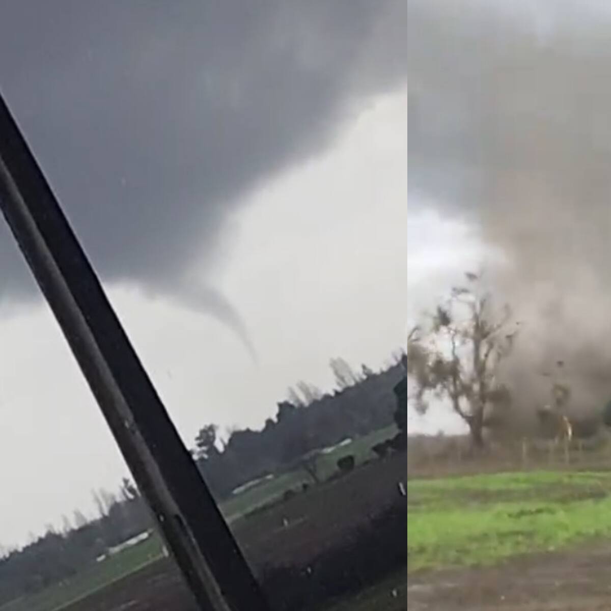 Tornados en Chillán Viejo sorprende durante sistema frontal: Ñuble suma al menos tres casos