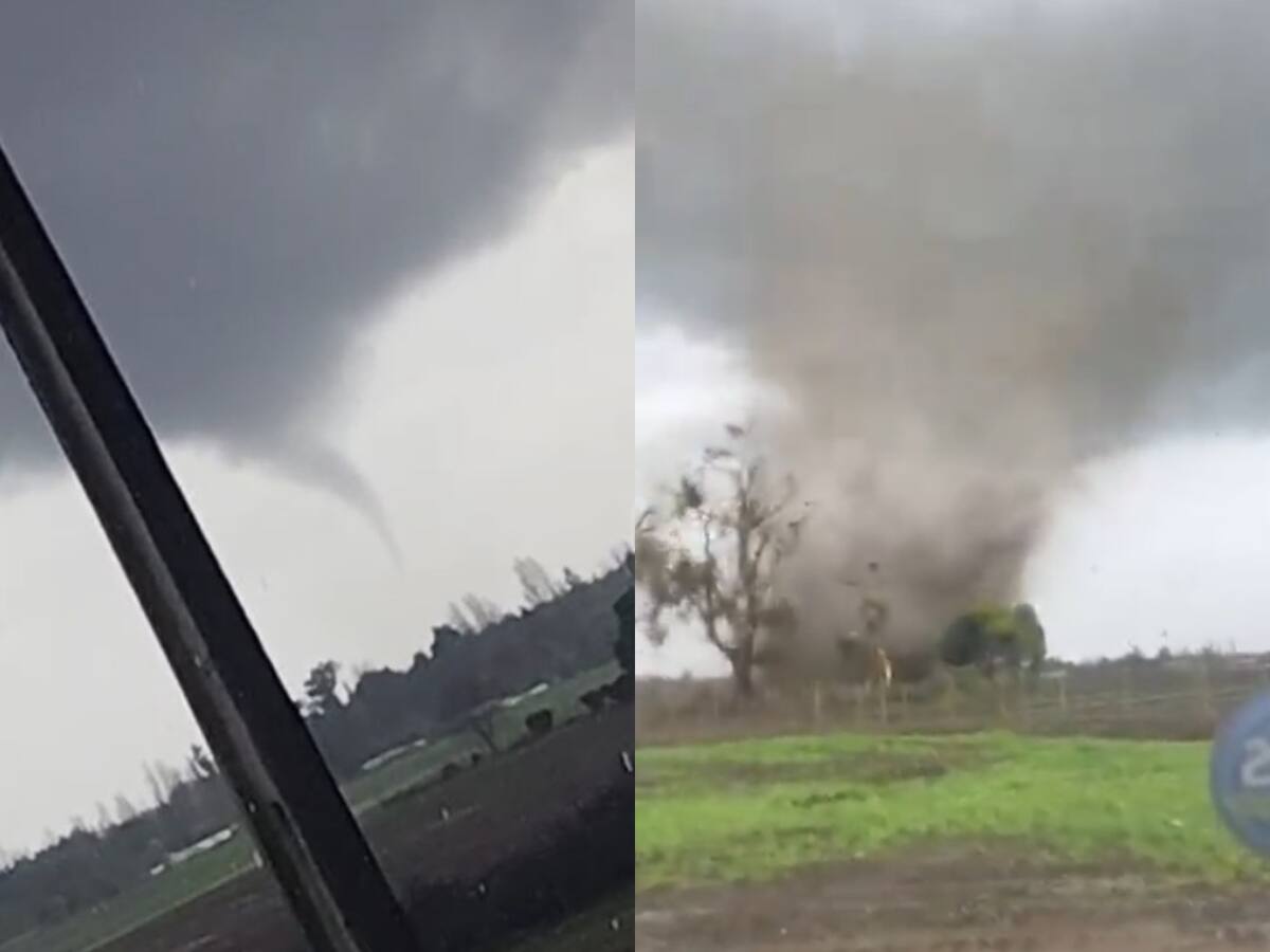 Tornados en Chillán Viejo sorprende durante sistema frontal: Ñuble suma al menos tres casos