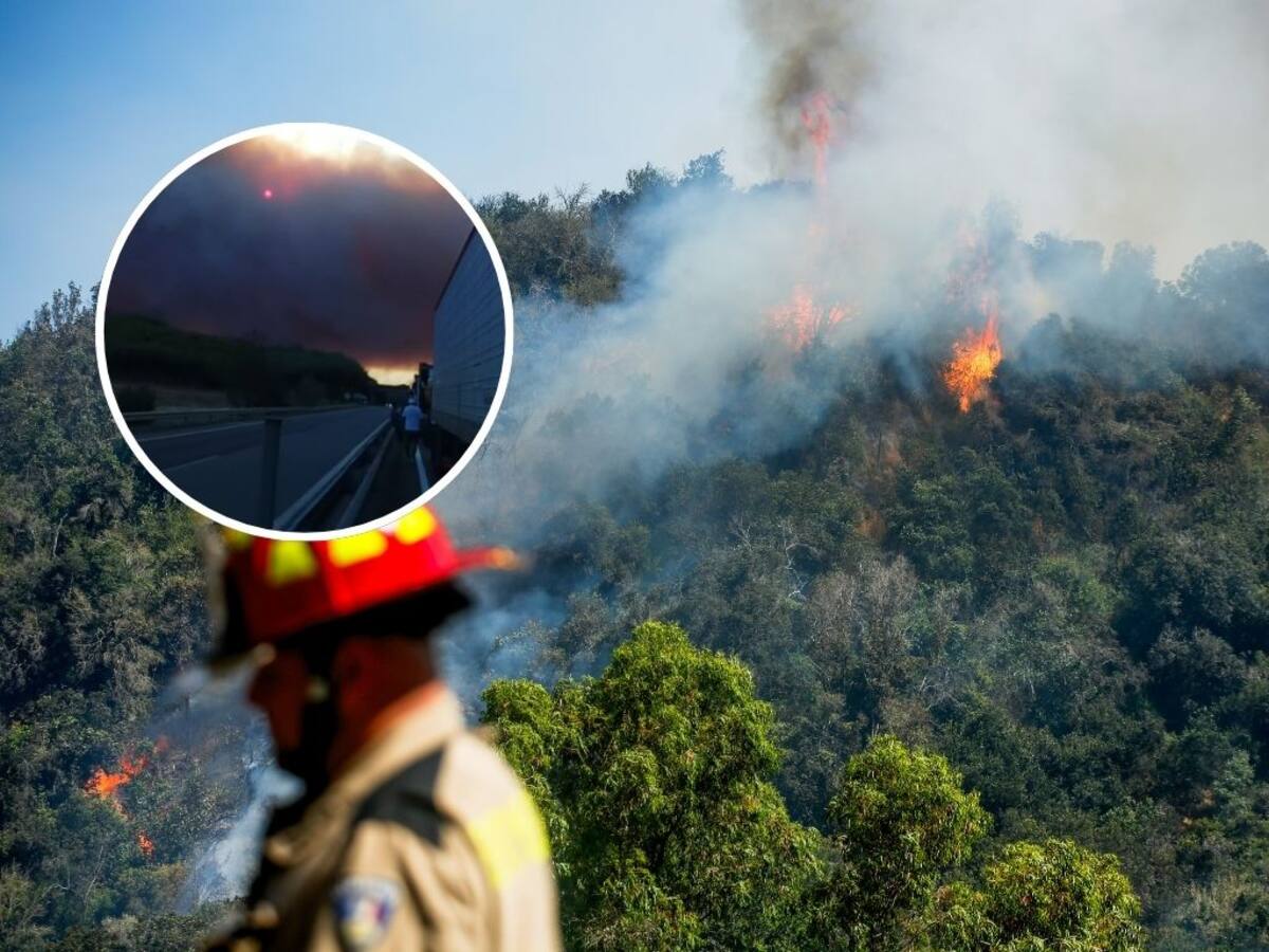 Por voraz incendio forestal en Penco: gigantesca columna de humo cubre parte de la carretera del Itata