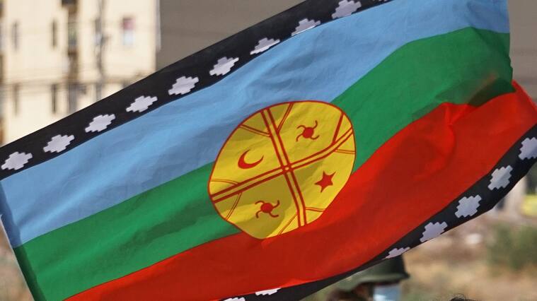 Bandera mapuche