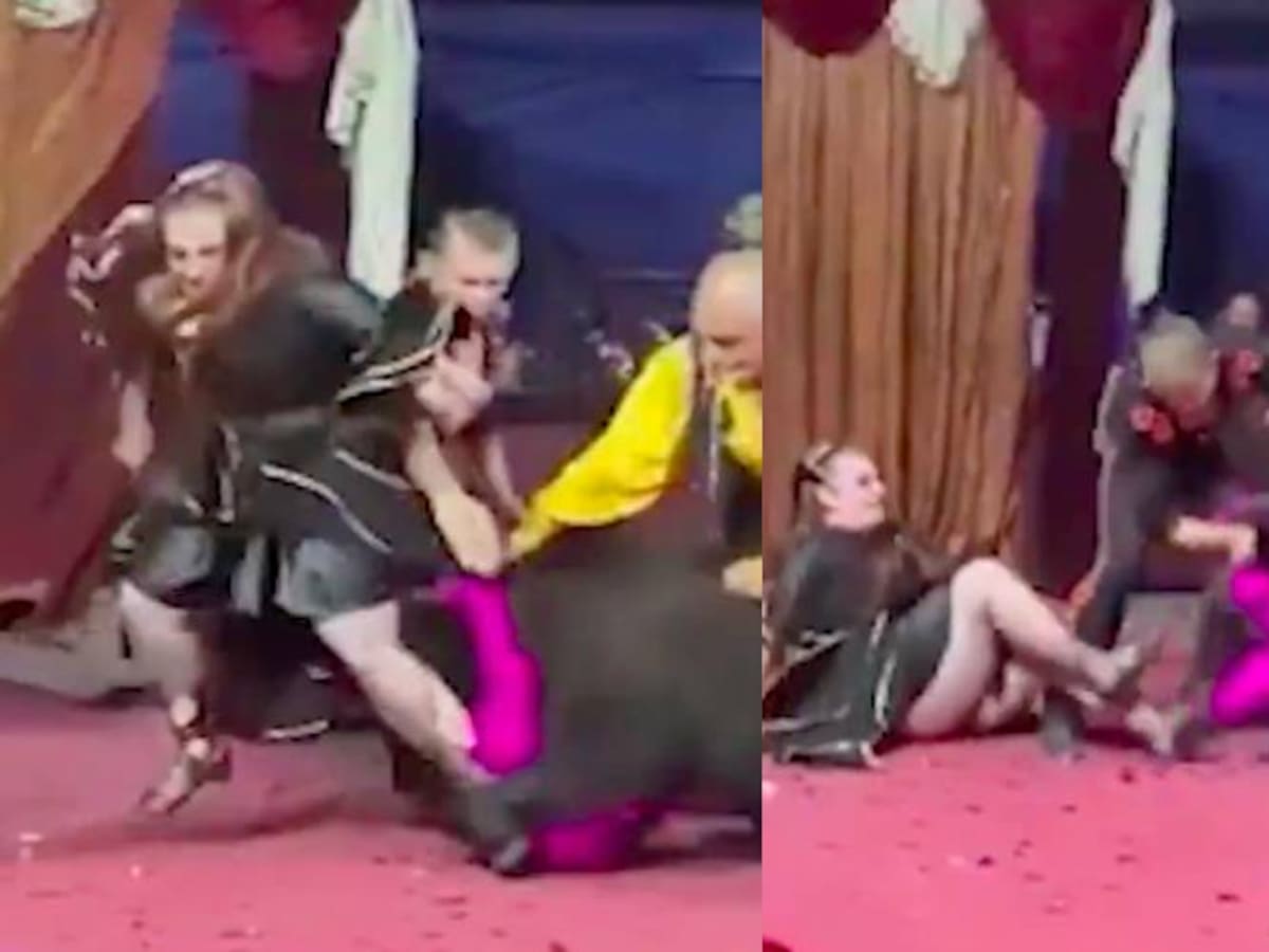 Rusia: Oso atacó a su entrenadora en show de circo