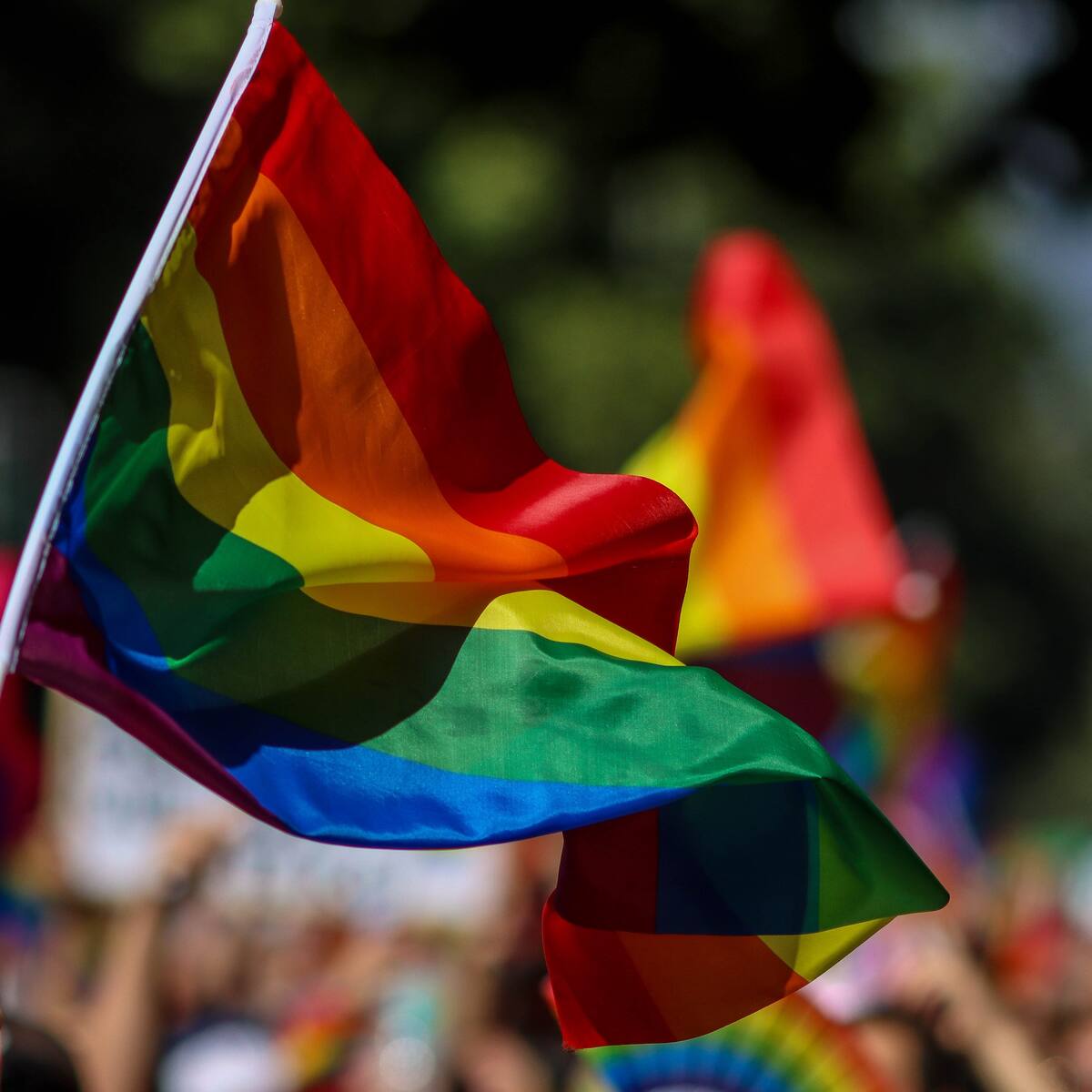 Mes del Orgullo en Chile: estudio alerta alza de discursos de odio hacia personas LGBTIQ+ en redes sociales