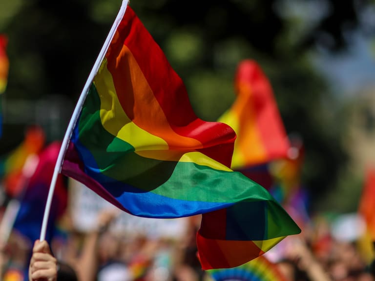 Sábado 13 de noviembre 2021El movimiento de integración y liberación homosexual (Movilh) Organiza la XXI marcha del orgullo cientos de personas marchan por la Alameda en la lucha por la igualdad de los derechos y la no discriminación.
Foto: Juan Farias / Agenciauno