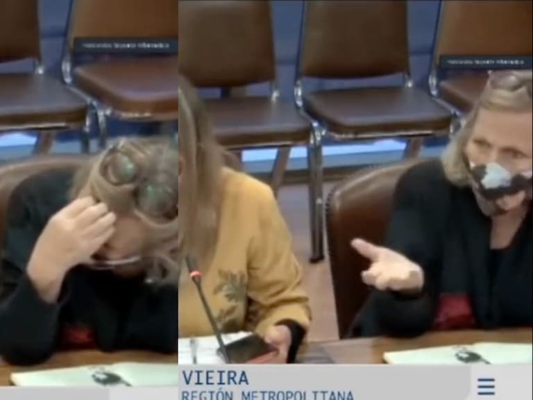 Reacción de Helia Molina tras dichos de diputada Gazmuri por vacunación infantil contra covid-19 se vuelve viral en redes sociales