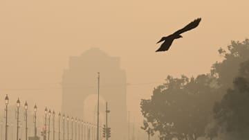 Esta es la ciudad más contaminada del mundo: supera 20 veces el límite recomendado por la OMS