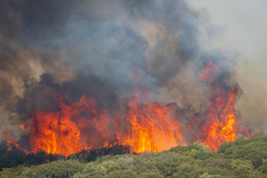Fuego consume un parque nacional en Grecia, en el mayor incendio de la UE