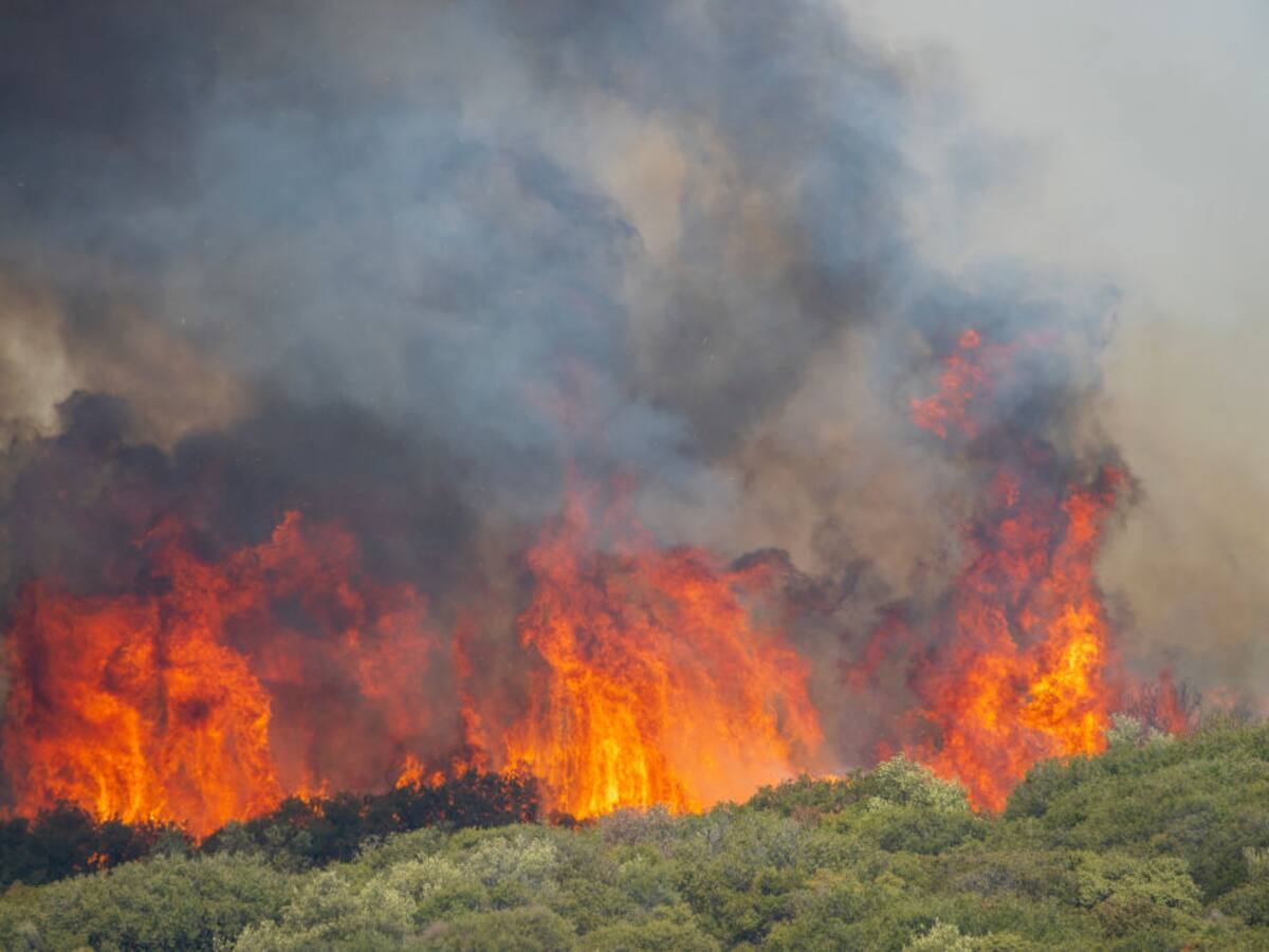 Grecia ante el mayor incendio forestal visto en Unión Europea