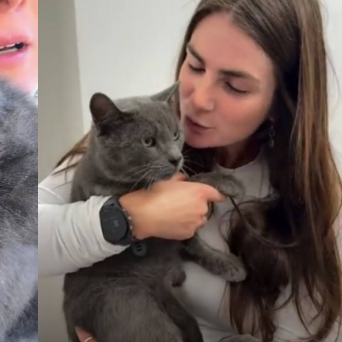 De la tragedia al amor: la increíble segunda oportunidad de Lucky, el gato que volvió a vivir