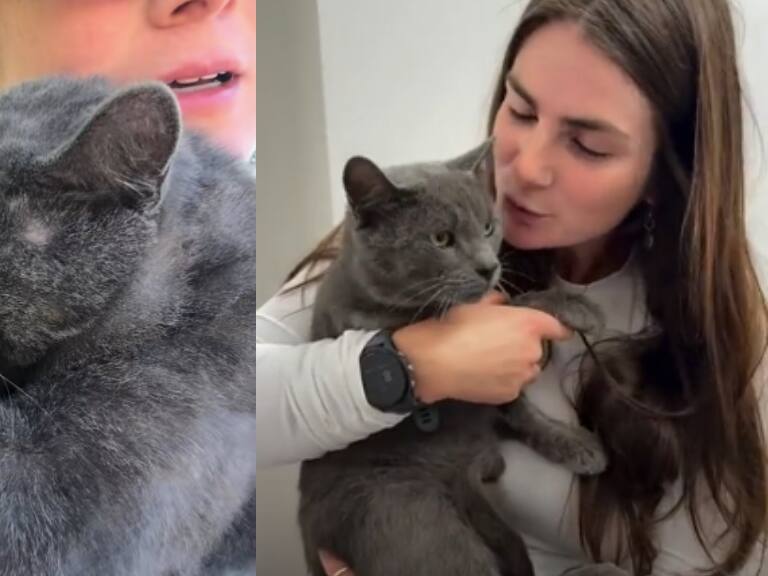 De la tragedia al amor: la increíble segunda oportunidad de Lucky, el gato que volvió a vivir