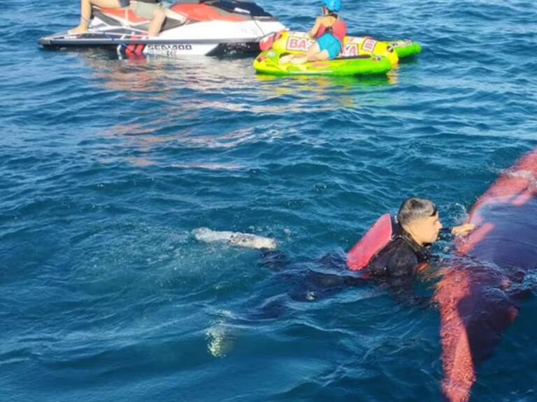 Continúa búsqueda de joven desaparecida en el Lago Villarrica