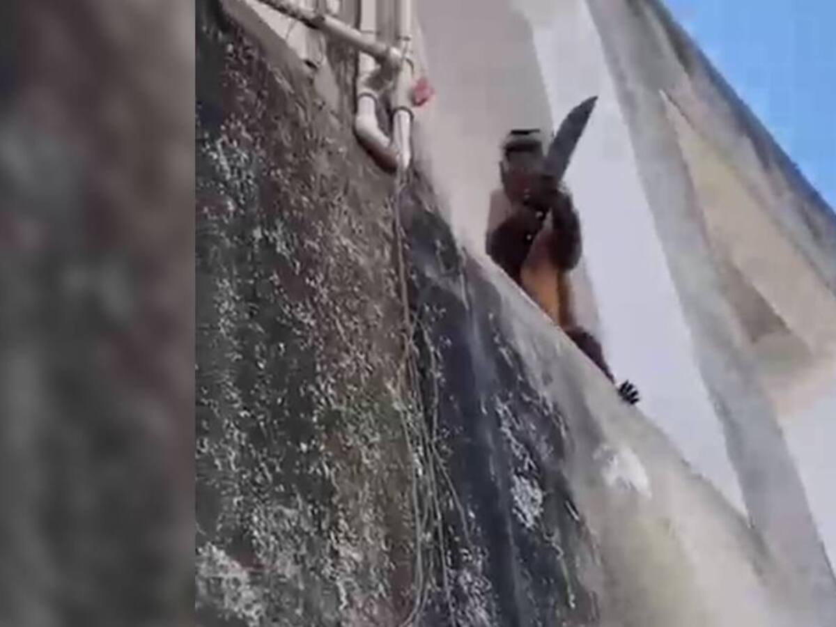 Mono armado intimidó a habitantes de Piauí en Brasil
