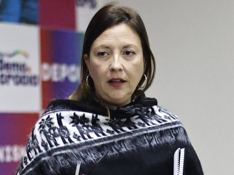 Natalia Piergentili (PPD) y elección de consejeros constitucionales: «Para nosotros fue un golpe importante que el PS declinara ir con nosotros»