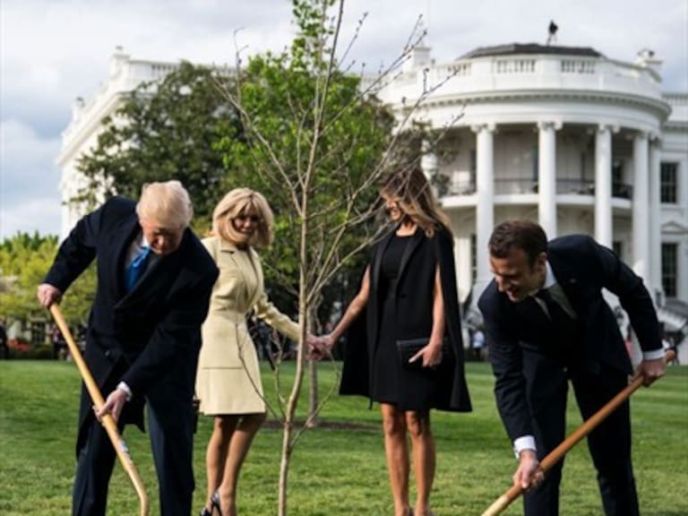 Árbol plantado por Emmanuel Macron y Donald Trump que simbolizaba la paz murió