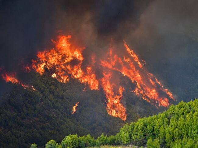 El fuego consume un monte cerca de la antigua Olimpia en Grecia