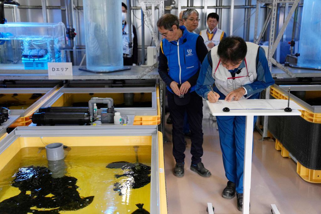 Los encargados de la agencia atómica de ONU en la planta nuclear de Fukushima en Japón