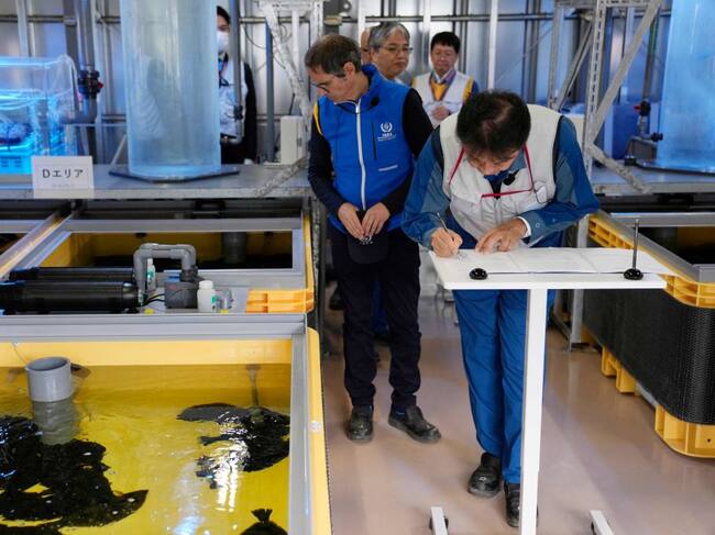 Los encargados de la agencia atómica de ONU en la planta nuclear de Fukushima en Japón