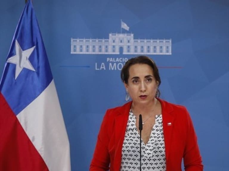 Subsecretaria DD.HH: «Gobierno rechaza categóricamente el último informe de Amnistía Internacional»