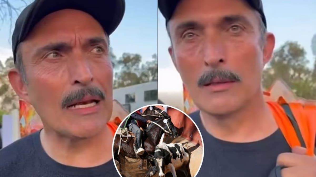 “Nuestro deporte nacional”: viralizan registro de actor chileno Marcelo Alonso elogiando el rodeo