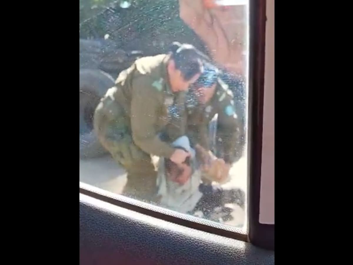 Dos carabineros del Maule son desvinculados por violencia excesiva: se viralizó golpiza a detenido