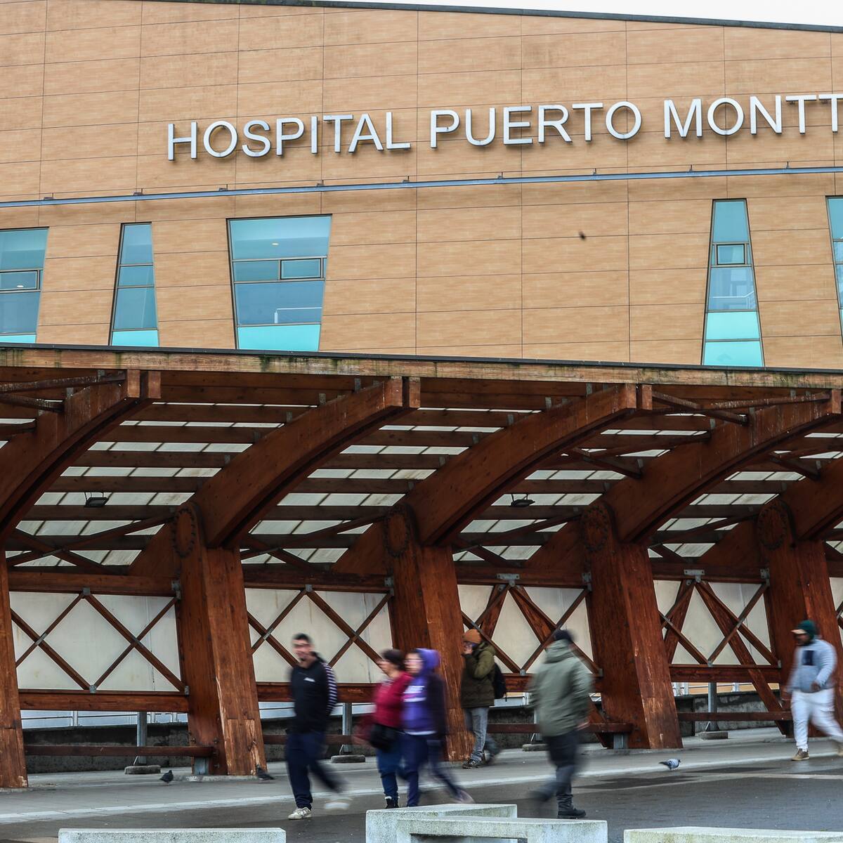 Caso “Rosa Melano”: La firme reacción de la ministra de Salud tras la salida de funcionario en Puerto Montt