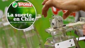 La Suerte de Ser Chileno: Polla confirma que aún quedan muchos ganadores que no cobran los $3 millones y estos son los RUT